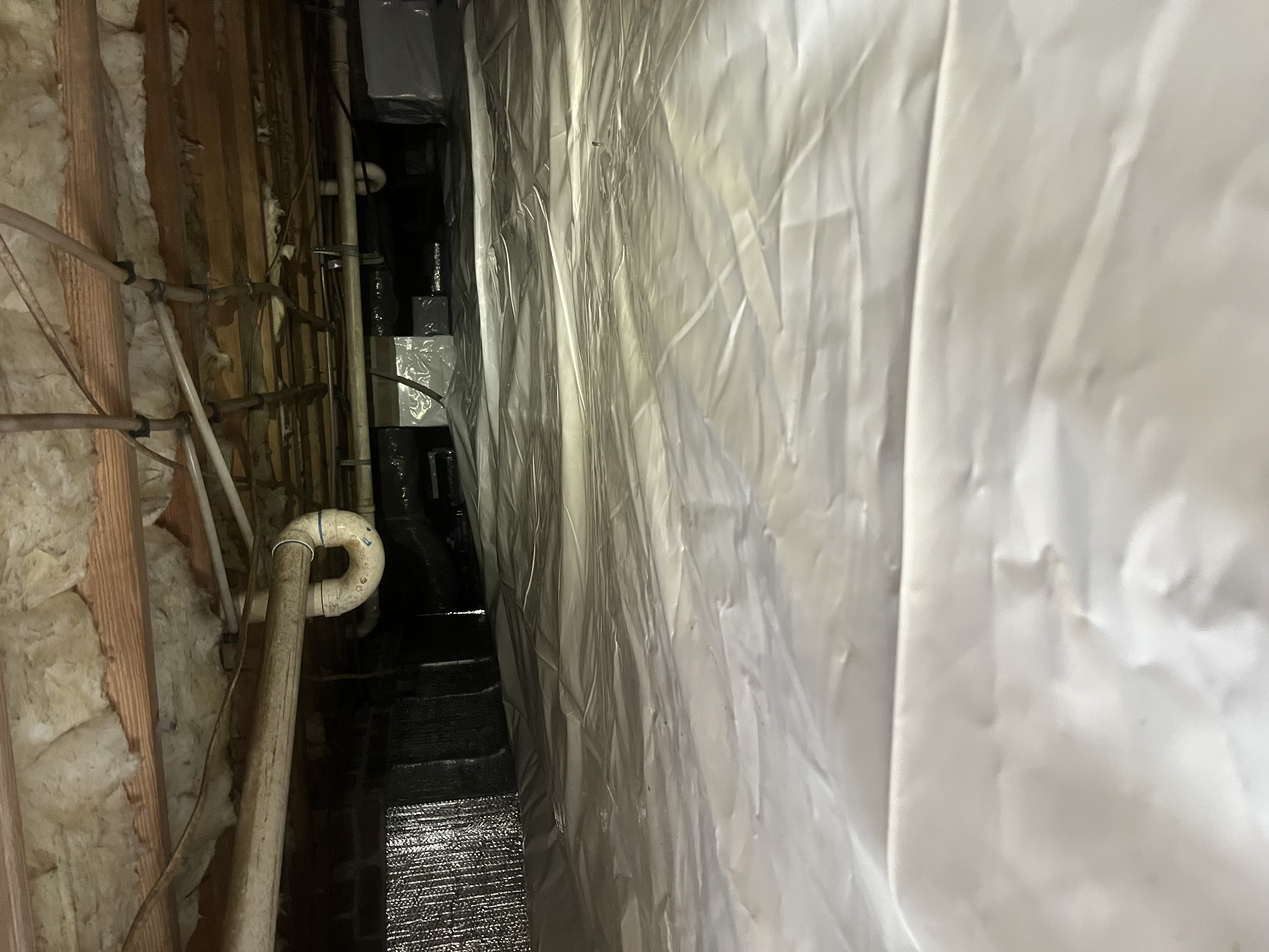 unmaintained crawlspace